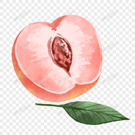 WWW,858av·COM网站APPAPP应用