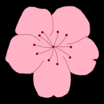 蓝莓小视频APP应用